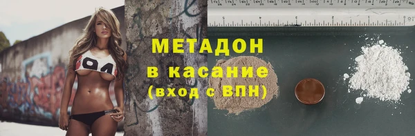 индика Алзамай