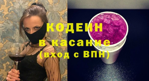 индика Алзамай