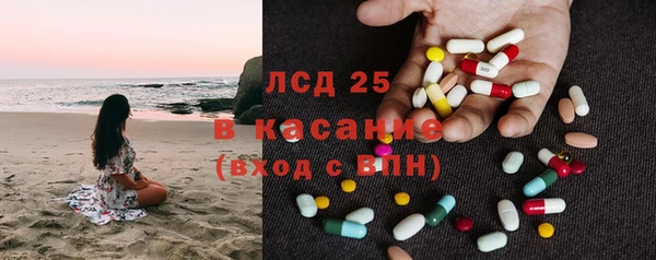 индика Алзамай