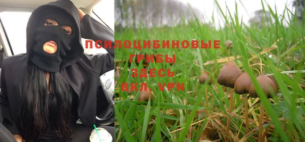 индика Алзамай
