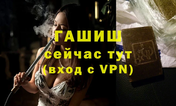 индика Алзамай